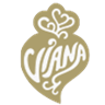 Viana do Castelo Transportes logo